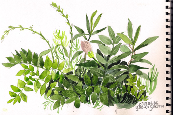 川沿いの道の雑草_sketch